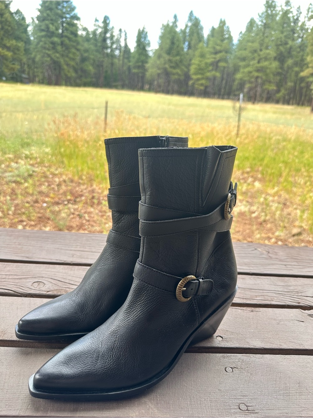 Seychelles Speak Up Black Leather Buckled Boots New! - Picture 9 of 13